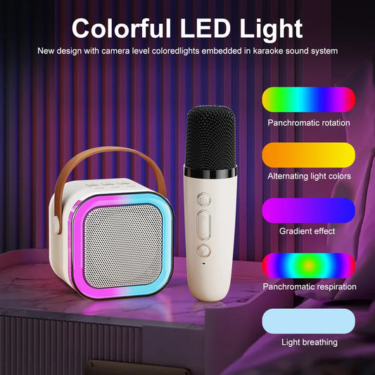 Wireless Rechargeable Speaker with Two Mics